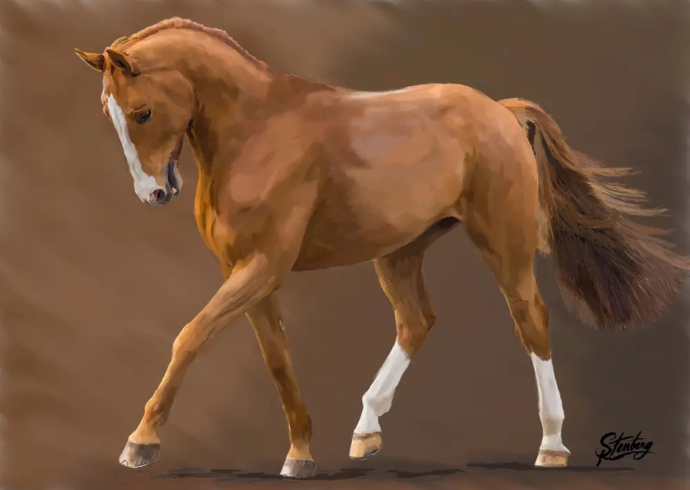 Copper — 2016 — Copper, 2016
