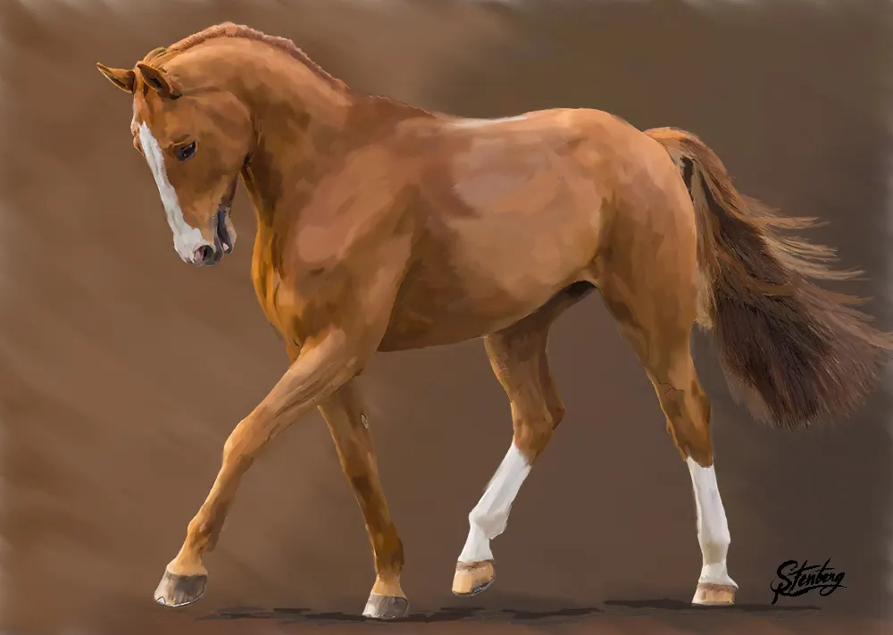 Copper — 2016 — Copper, 2016