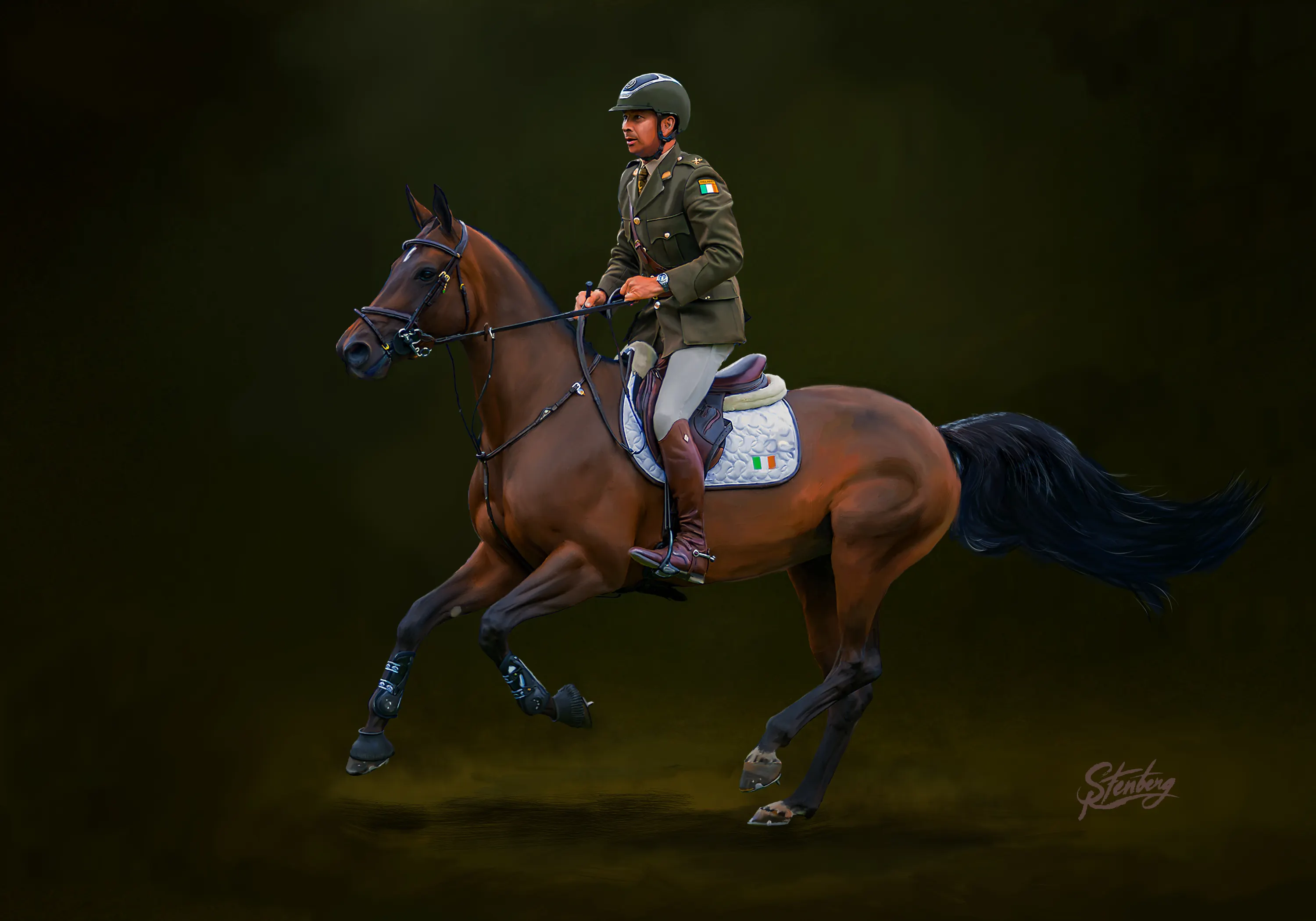 Alliance — Geoff Curran - Dublin Horse Show, 2025 — DHF Alliance, ridden by Commandant Geoff Curran, 2025