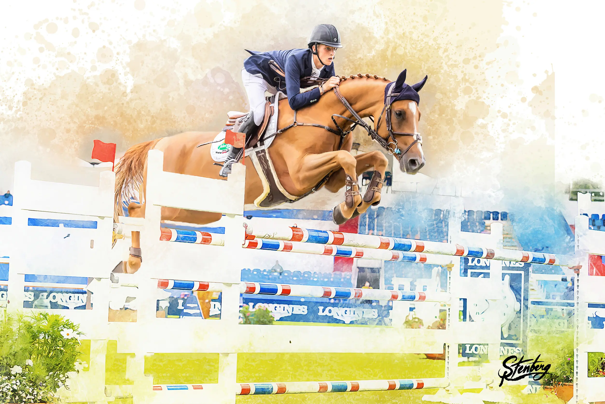 High Hopes — Jack Ryan & Essenar High Hopes, Dublin 2018 — Essenar High Hopes, ridden by Jack Ryan, 2018